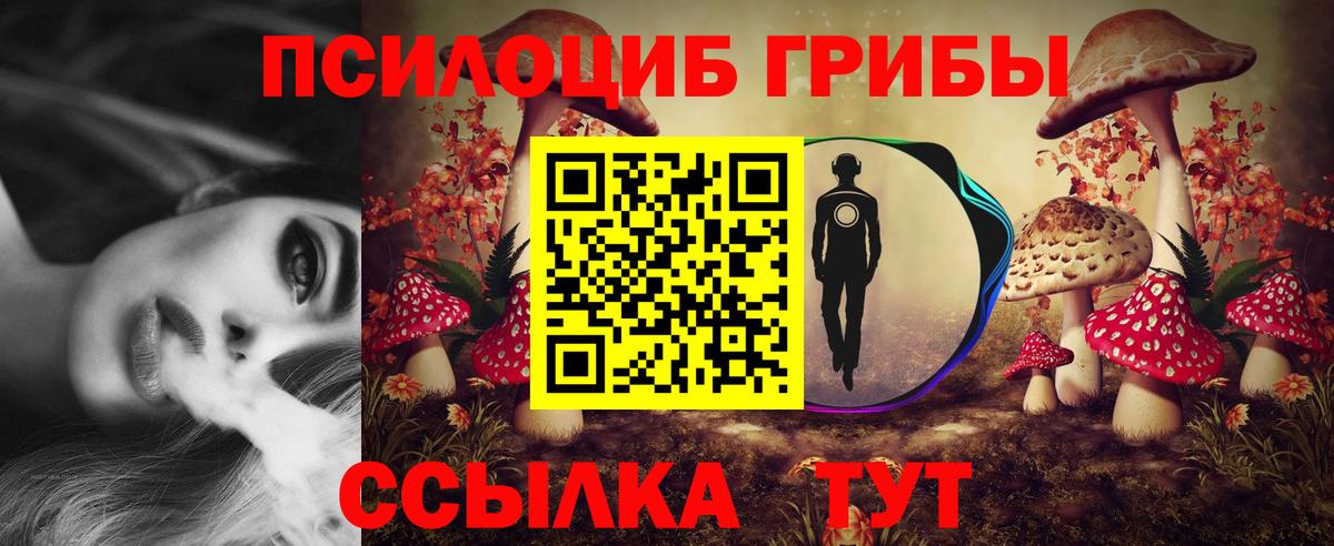 Новокубанск  Псилоцибиновые грибы прущие грибы  Вход с VPN 