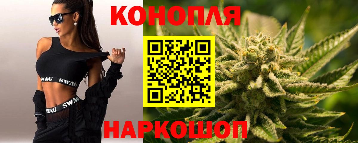 Каннабис план Новокубанск